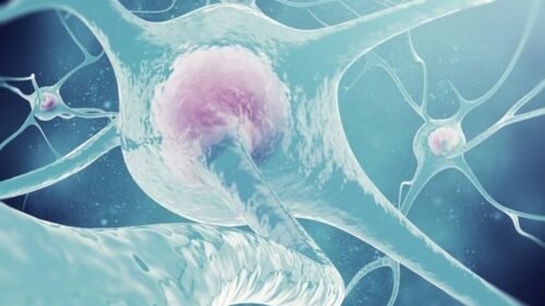Diplomado de Endocrinología Ginecológica