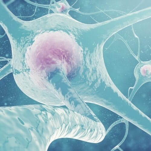 Diplomado de Endocrinología ginecológica